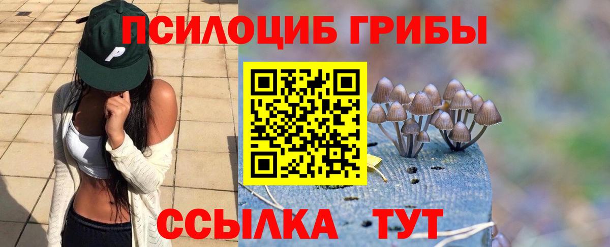 Краснознаменск  Псилоцибиновые грибы ЛСД  Вход с VPN 